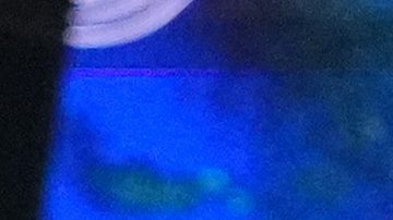 El mariscal de campo de los Denver Broncos, Bo Nix (10), celebra la victoria contra los Buffalo Bills.