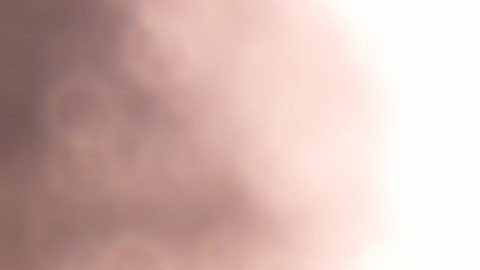 numismatica-centavo-coleccionable