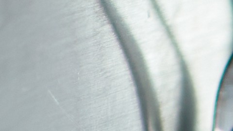 ¿Sabías que el café y el limón son los mejores desodorantes naturales? Neutraliza los aromas fuertes sin usar químicos agresivos.