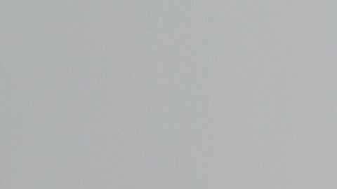 estafa en página web falsa