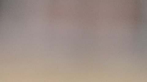 Hilton estuvo acompañada por la representante demócrata Alexandria Ocasio-Cortez y la congresista republicana Laurel Lee.