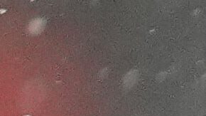 El cornerback de los New England Patriots, Christian Gonzalez, celebra tras una intercepción contra los Denver Broncos durante la segunda mitad del partido del Campeonato de la AFC de la NFL, el domingo 25 de enero de 2026, en Denver.