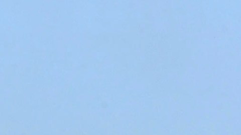 Cuba niega haber cobrado a Venezuela por servicios de seguridad a Maduro