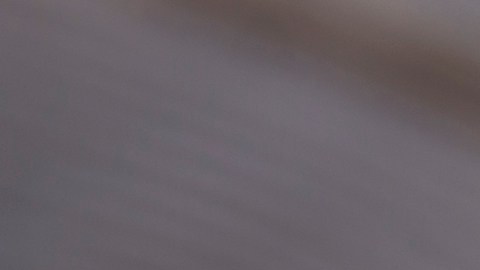 EE.UU. consume en promedio unos 20 millones de barriles diarios de petróleo y productos derivados, de acuerdo con datos de la Administración de Información Energética.