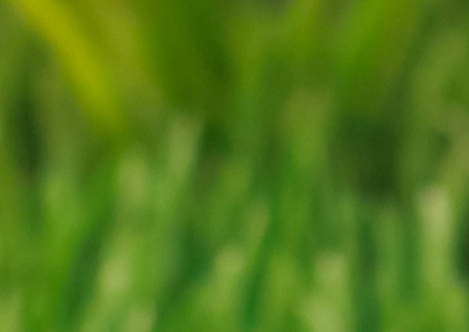 La propuesta busca combinar nostalgia, exploración y convivencia, recreando entornos que remiten directamente a los videojuegos y al anime original.