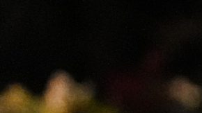 Un cartel de Alex Pretti, de 37 años, quien fue asesinado a tiros por un agente de la Patrulla Fronteriza.