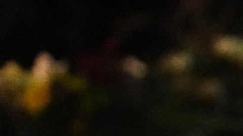 Un cartel de Alex Pretti, de 37 años, quien fue asesinado a tiros por un agente de la Patrulla Fronteriza.