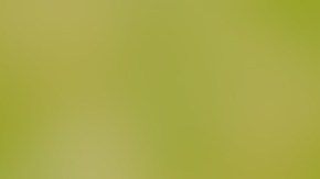 Cambia el plástico por lo natural: la lufa y la fibra de coco limpian tu vajilla sin soltar microplásticos nocivos para tu salud.