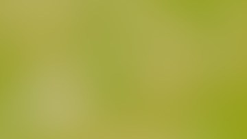 Cambia el plástico por lo natural: la lufa y la fibra de coco limpian tu vajilla sin soltar microplásticos nocivos para tu salud.