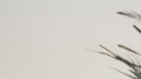 El piloto neerlandés de Red Bull, Max Verstappen, en acción durante el Gran Premio de Fórmula 1 de Abu Dabi, en Abu Dabi, Emiratos Árabes Unidos, el domingo 7 de diciembre de 2025.