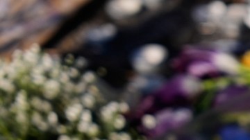 Walz planteó sus exigencias a Tom Homan, incluidas investigaciones parciales sobre tiroteos