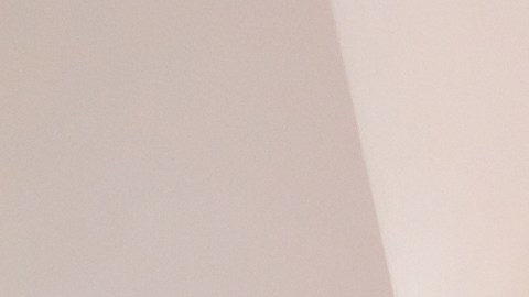 Transforma tu nutrición en belleza: el poder del colágeno y la vitamina A en un delicioso bocado natural