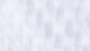 seguro-social-conyuges-beneficios