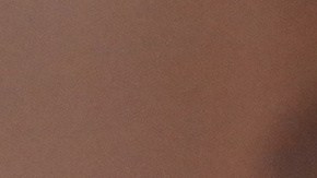 Selena Gómez y Benny Blanco lucieron muy elegantes en los Golden Globes 2026.