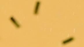 Sadio Mané celebra tras levantar la Copa Africana de Naciones.