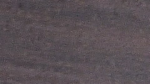 seguro-social-pago-febrero-2026