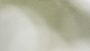 Friends,Arguing,Or,Fighting,Outdoors