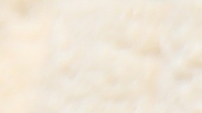 Antes de utilizar el aloe vera en una crema facial, es indispensable preparar adecuadamente la hoja y extraer únicamente el gel.