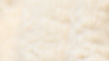 Antes de utilizar el aloe vera en una crema facial, es indispensable preparar adecuadamente la hoja y extraer únicamente el gel.