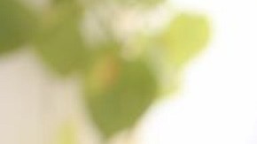 Entre los servicios de bienestar y salud figuran los de medicina interna y psiquiatría, los exámenes físicos, las pruebas y la vacunación contra el COVID 19, la telemedicina, la oftalmología, la pediatría, la ginecología, y el manejo de las enfermedades crónicas y la medicación.