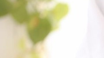 Entre los servicios de bienestar y salud figuran los de medicina interna y psiquiatría, los exámenes físicos, las pruebas y la vacunación contra el COVID 19, la telemedicina, la oftalmología, la pediatría, la ginecología, y el manejo de las enfermedades crónicas y la medicación.