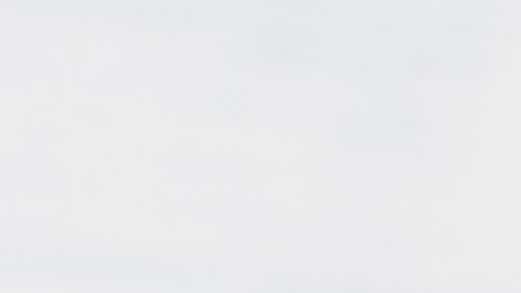 Personaliza tus bolitas de proteína con coco rallado o cacao puro para añadir un extra de antioxidantes a tu dieta diaria.