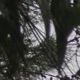 Cancha de fútbol amateur en México.