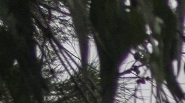Cancha de fútbol amateur en México.