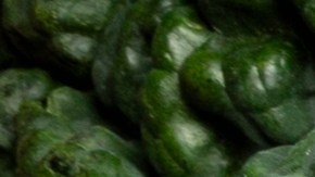 El chef Nandu Jubany revela su secreto mejor guardado: una proporción exacta de agua mineral con gas para conseguir la textura de mantequilla perfecta en los garbanzos, manteniendo la piel intacta y un sabor excepcional.