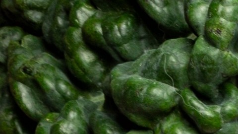 El chef Nandu Jubany revela su secreto mejor guardado: una proporción exacta de agua mineral con gas para conseguir la textura de mantequilla perfecta en los garbanzos, manteniendo la piel intacta y un sabor excepcional.