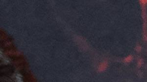 ‘Stranger Things: 5’ se convirtió en la serie en inglés más vista de Netflix en su estreno.