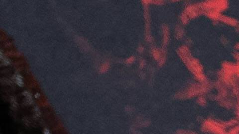 ‘Stranger Things: 5’ se convirtió en la serie en inglés más vista de Netflix en su estreno.