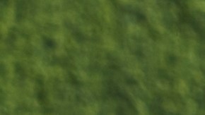 Retiro masivo de Live it Up Super Greens por Salmonella. Lotes con letra "A" o "3" en riesgo.