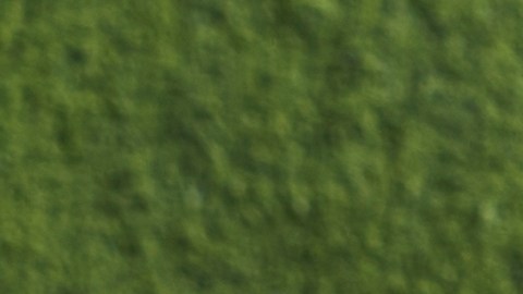 Retiro masivo de Live it Up Super Greens por Salmonella. Lotes con letra "A" o "3" en riesgo.