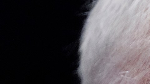 Departamento de Justicia cita a Walz y a otros funcionarios por “obstrucción” de operativos migratorios