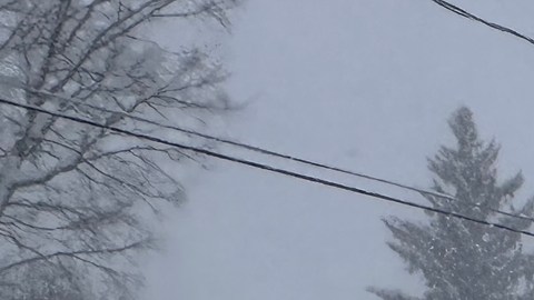 FEMA asegura que se coordina con los estados ante la tormenta invernal