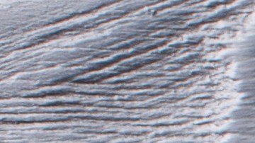 Tortiglioni con vegetales: un clásico al dente, donde el sabor de la tradición italiana cobra vida.