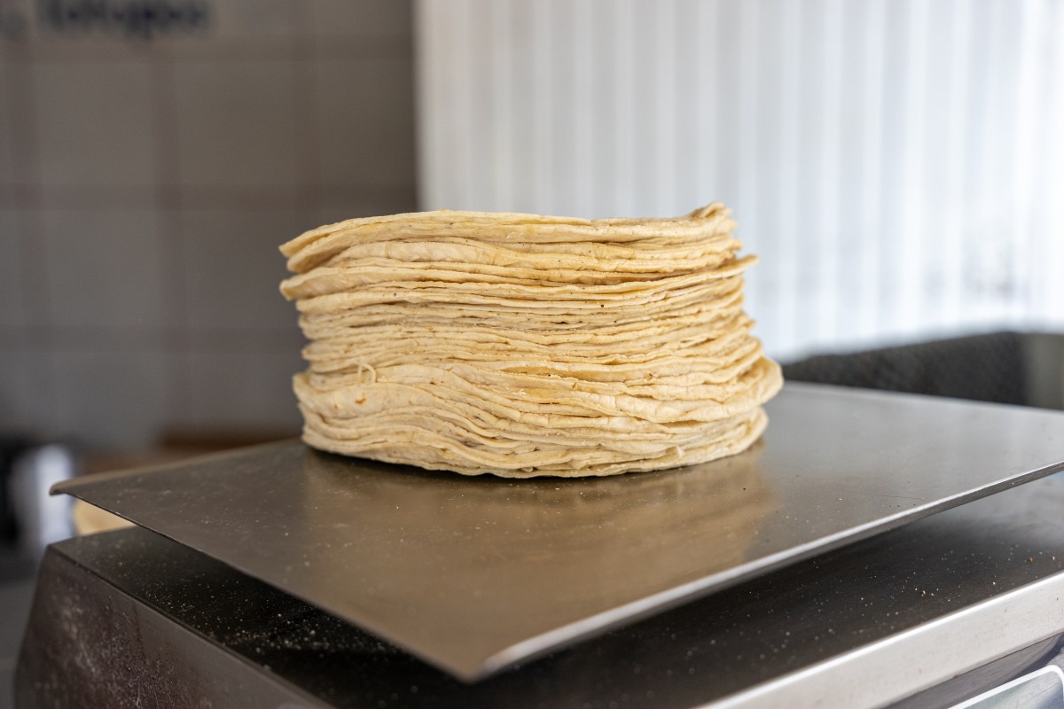 Ley de fortificación de harina de maíz en California 2026: Todo lo que debes saber