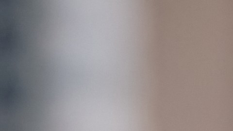 La riqueza de la cocina mexicana, cada mordisco de estas tortitas de judías verdes es un viaje de sabores, tradición y nutrición.