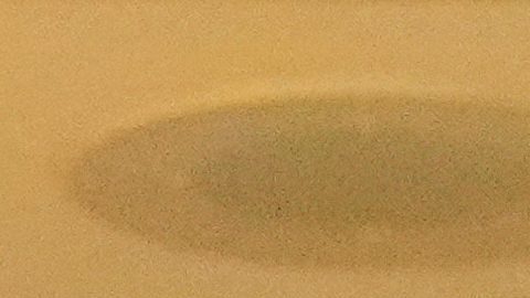 El presidente Donald Trump asiste a un partido de fútbol americano de la NFL.