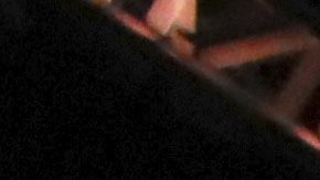 Vista general de un octágono de UFC.