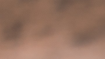 Mantener alimentos perecederos en la nieve los expone a bacterias y fauna silvestre. El FSIS advierte que la fluctuación de temperatura impide una conservación segura.