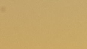 El incidente ocurrió cerca de una baranda, en las inmediaciones de los restaurantes Back Deck y Bubba's Seafood, en Shore Drive.