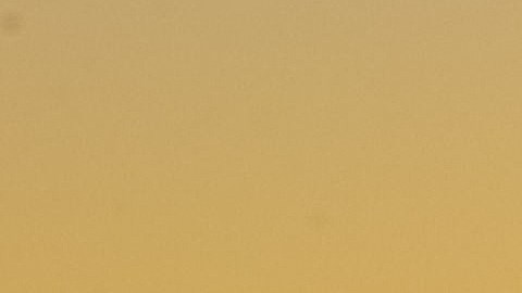 El incidente ocurrió cerca de una baranda, en las inmediaciones de los restaurantes Back Deck y Bubba's Seafood, en Shore Drive.