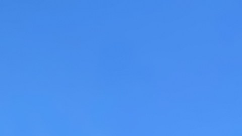 walmart-google-comprar-productos