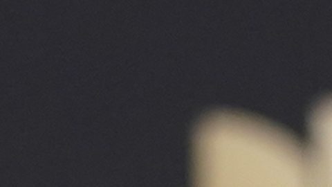 Yeison Jiménez perdió la vida debido a que la aeronave no consiguió ganar altura y terminó incendiándose en un extremo de la pista.