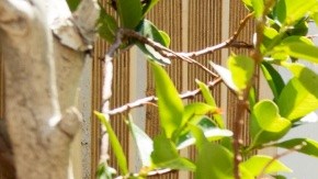 Madre e hija realizan actividades de jardinería al aire libre, una de las tendencias de crianza destacadas en el informe de Pinterest 2026