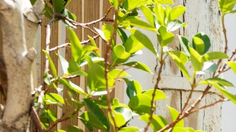 Madre e hija realizan actividades de jardinería al aire libre, una de las tendencias de crianza destacadas en el informe de Pinterest 2026