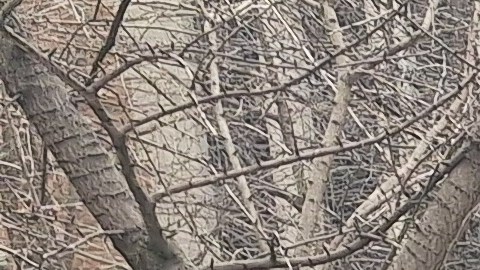 Las organizaciones MoveOn y Make The Road States llevaron una carta a ejecutivos de la Liga Deportiva en Manhattan.