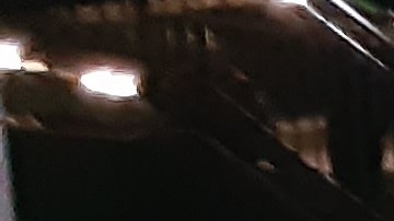 Nuevas puertas buscan prevenir evasión de tarifas e indigencia en el Metro de NYC.